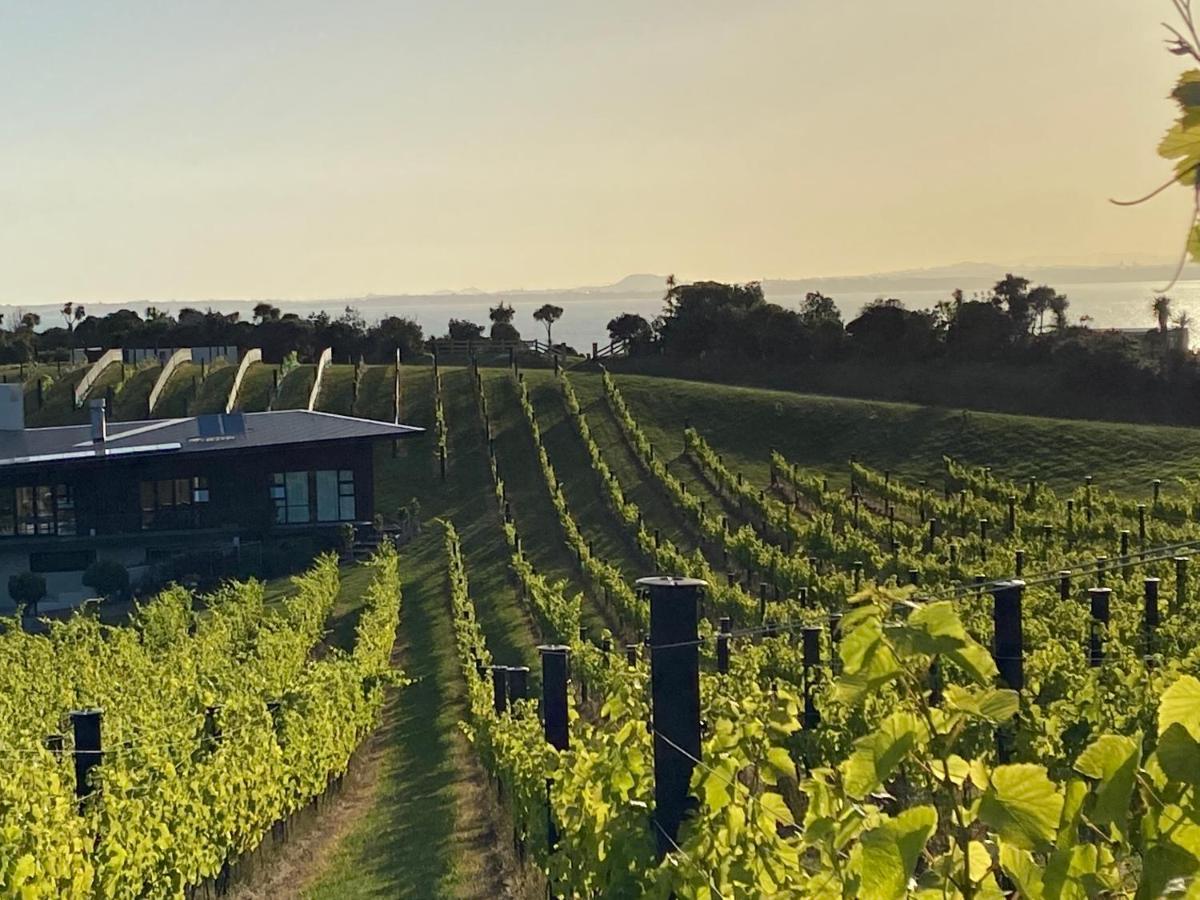 ホテル La Bodega Waiheke Island Surfdale エクステリア 写真